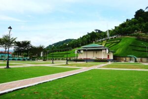 lawn landscape garden